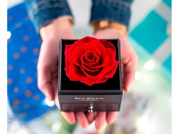 Poklon kutija večna ruža + ogrlica - LOVEBOX