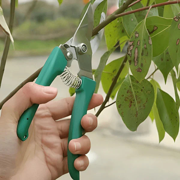 Set alata za vrt i baštu